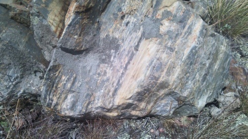 Гигантские зелёные валуны для ландшафтного дизайна весом более 5 тонн купить в Республике Адыгея