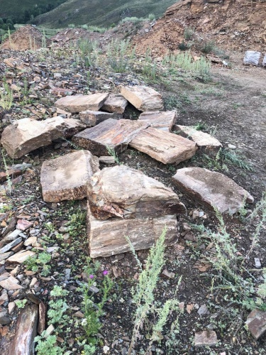 Плитняк кора дерева 50-100мм для пошаговых дорожек купить в Республике Адыгея